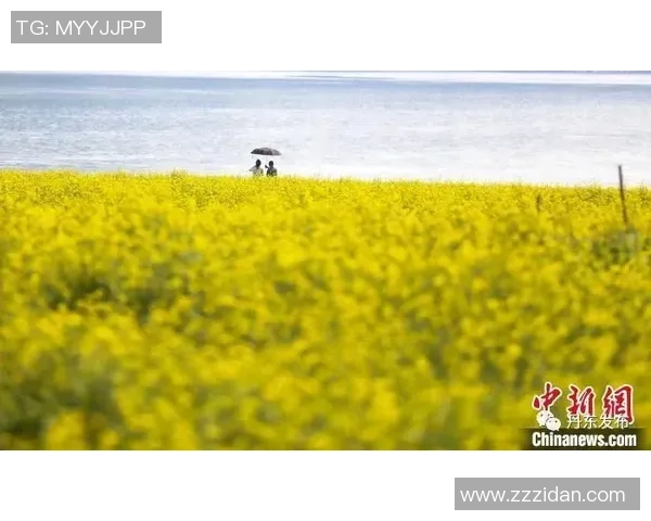 都市：天际线2全新扩展包桥梁与港口正式上线带来更多城市建设乐趣